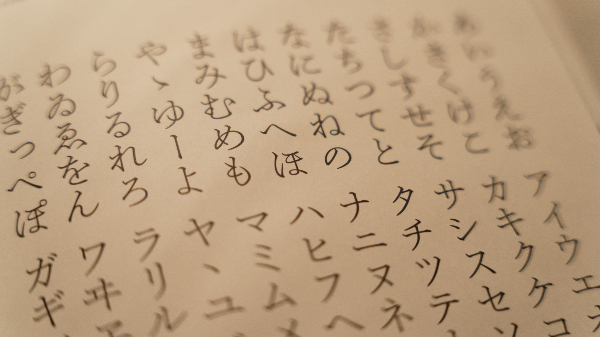 まきこ 字形