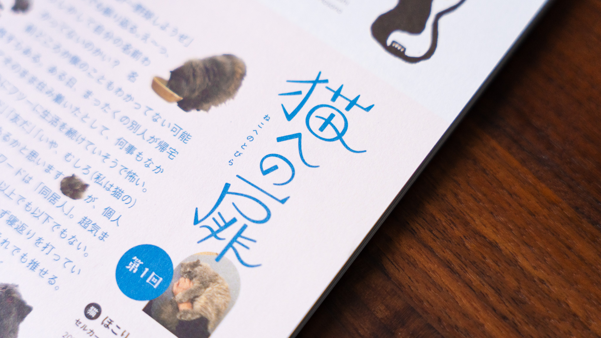 猫への扉
