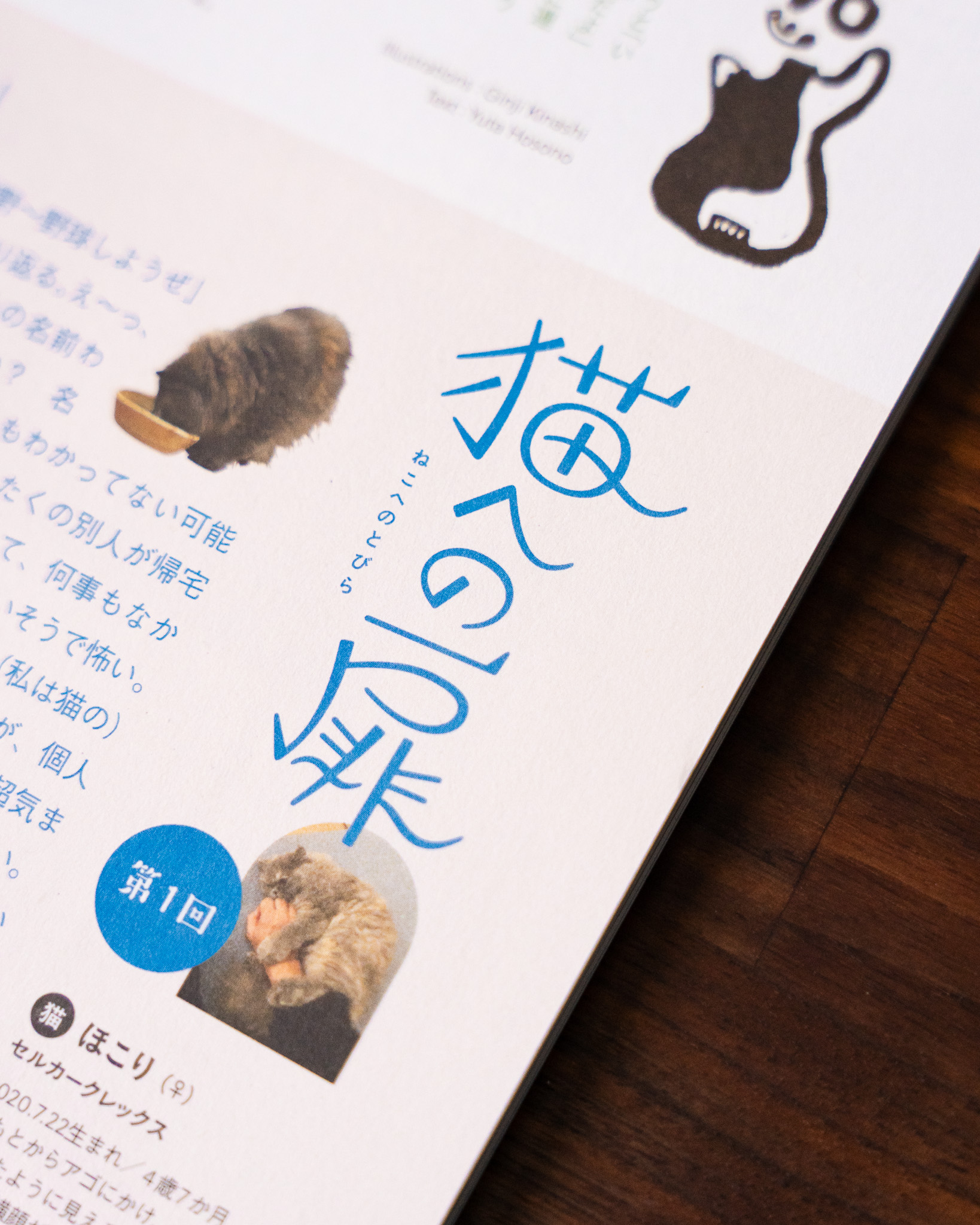 猫への扉